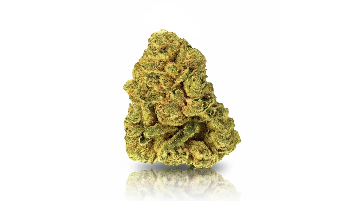 Bashengo, Cannabisblüte von LUANA
