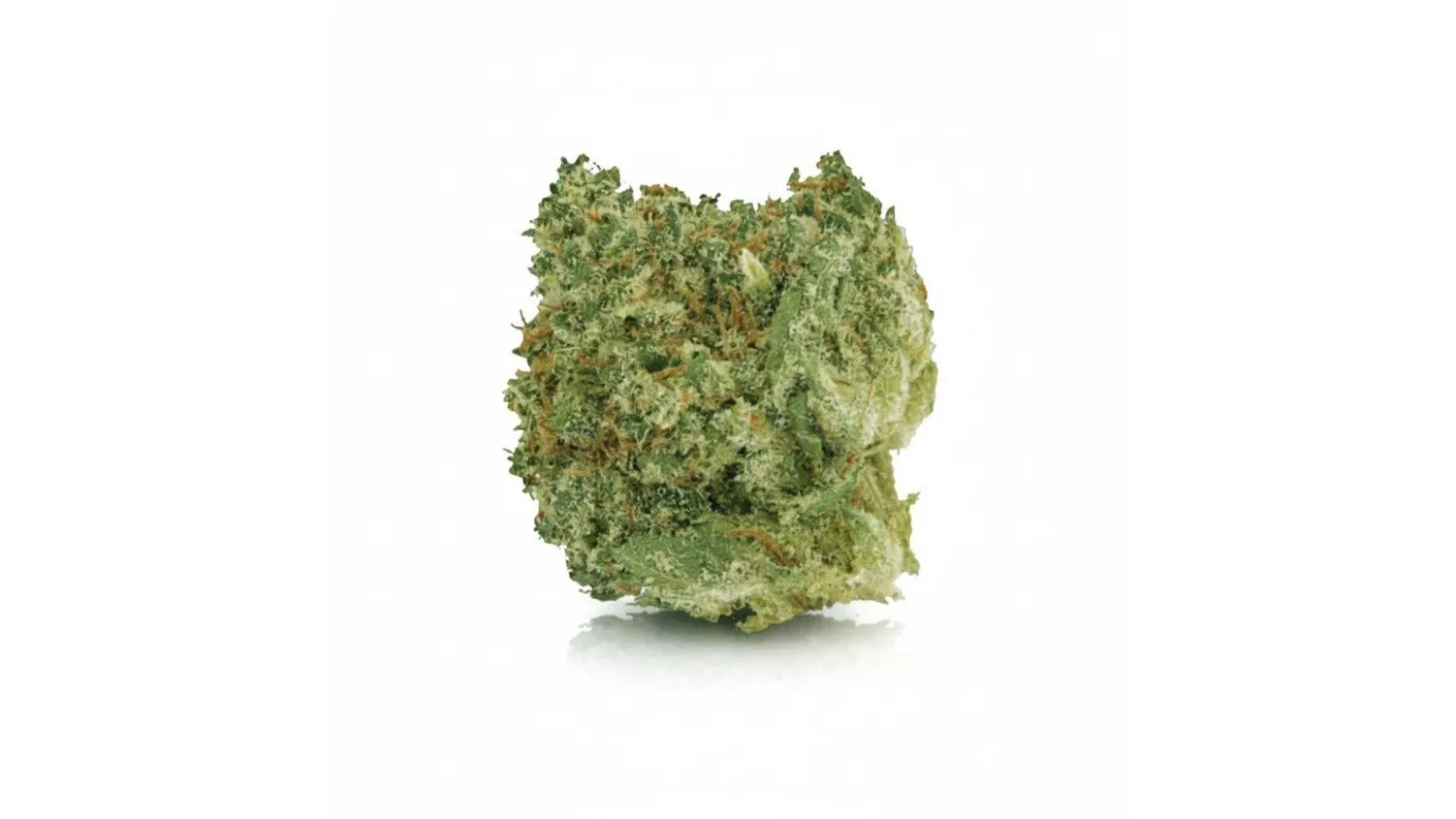 Bunatic, Cannabisblüte von LUANA