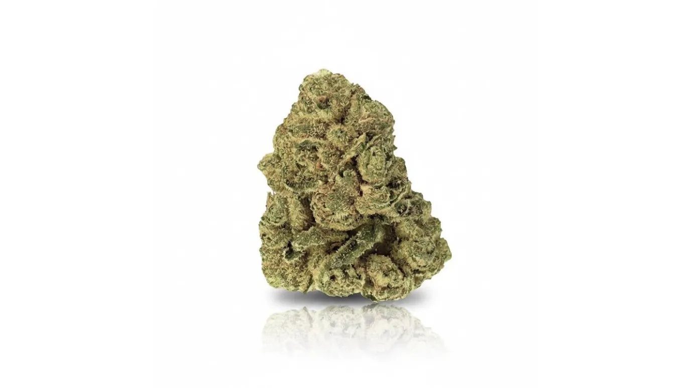 Dosi Bow, Cannabisblüte von LUANA