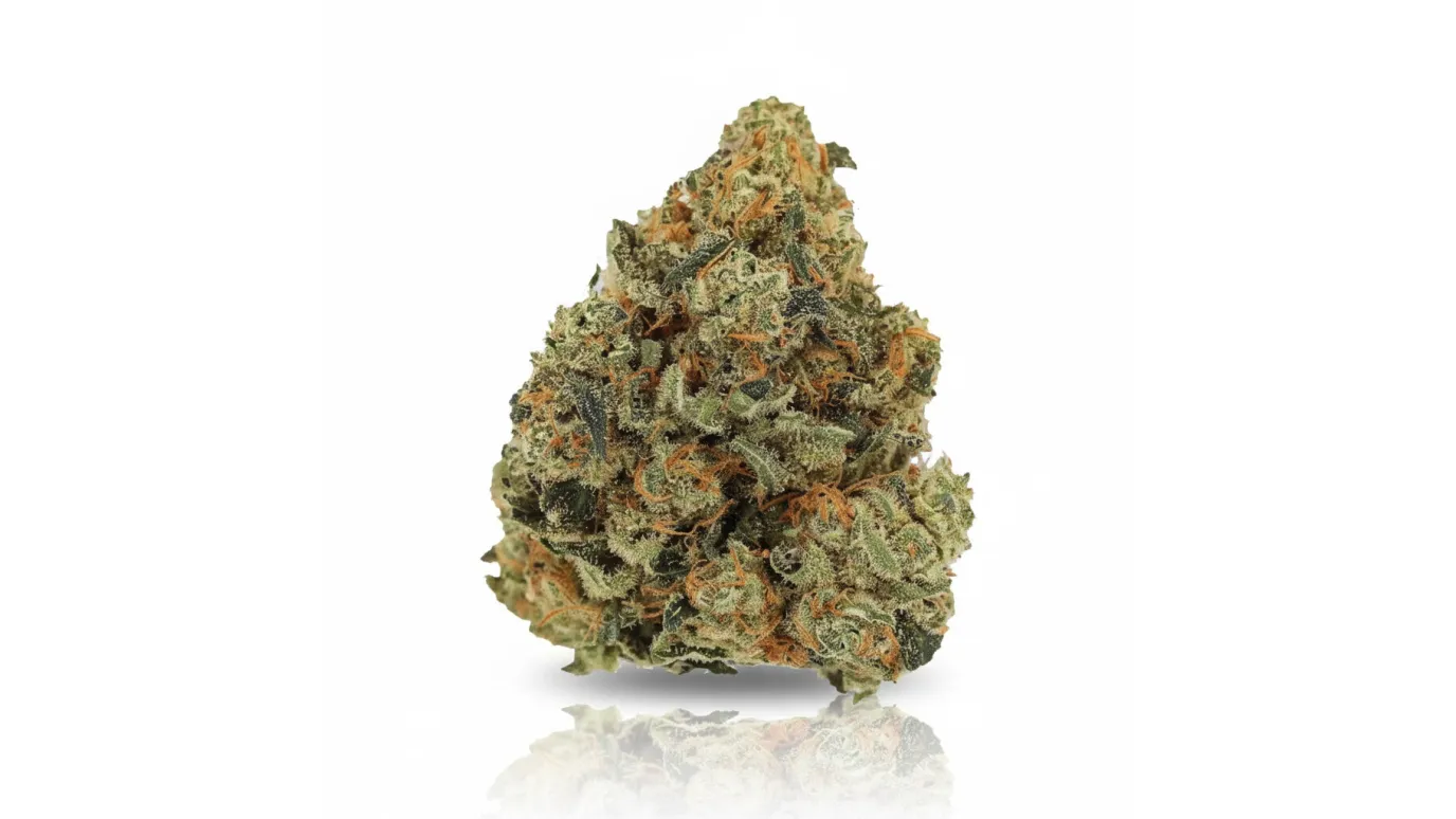 Girl Scout Cookies, Cannabisblüte von LUANA