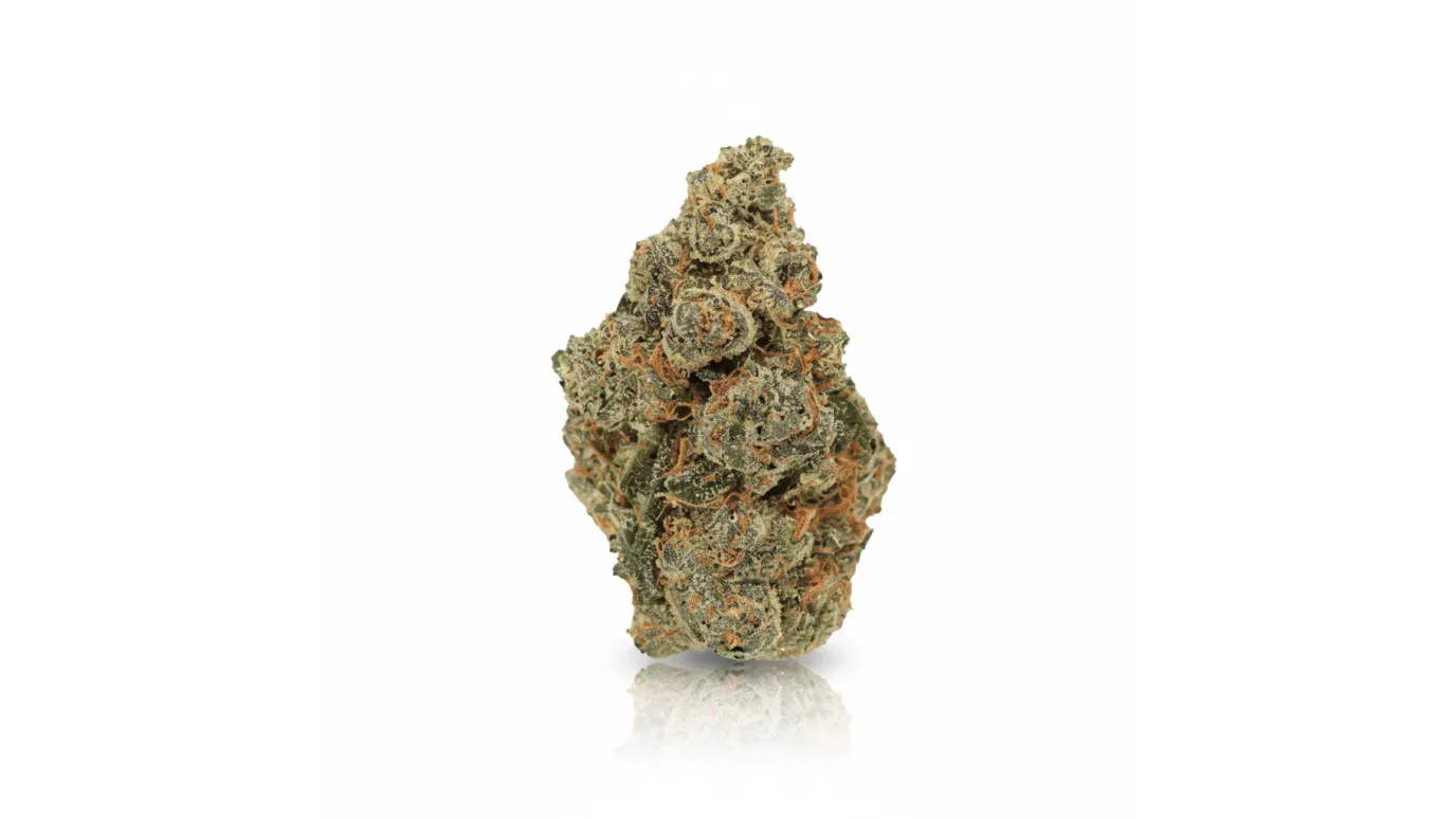 God Cherry Gusher, Cannabisblüte von LUANA