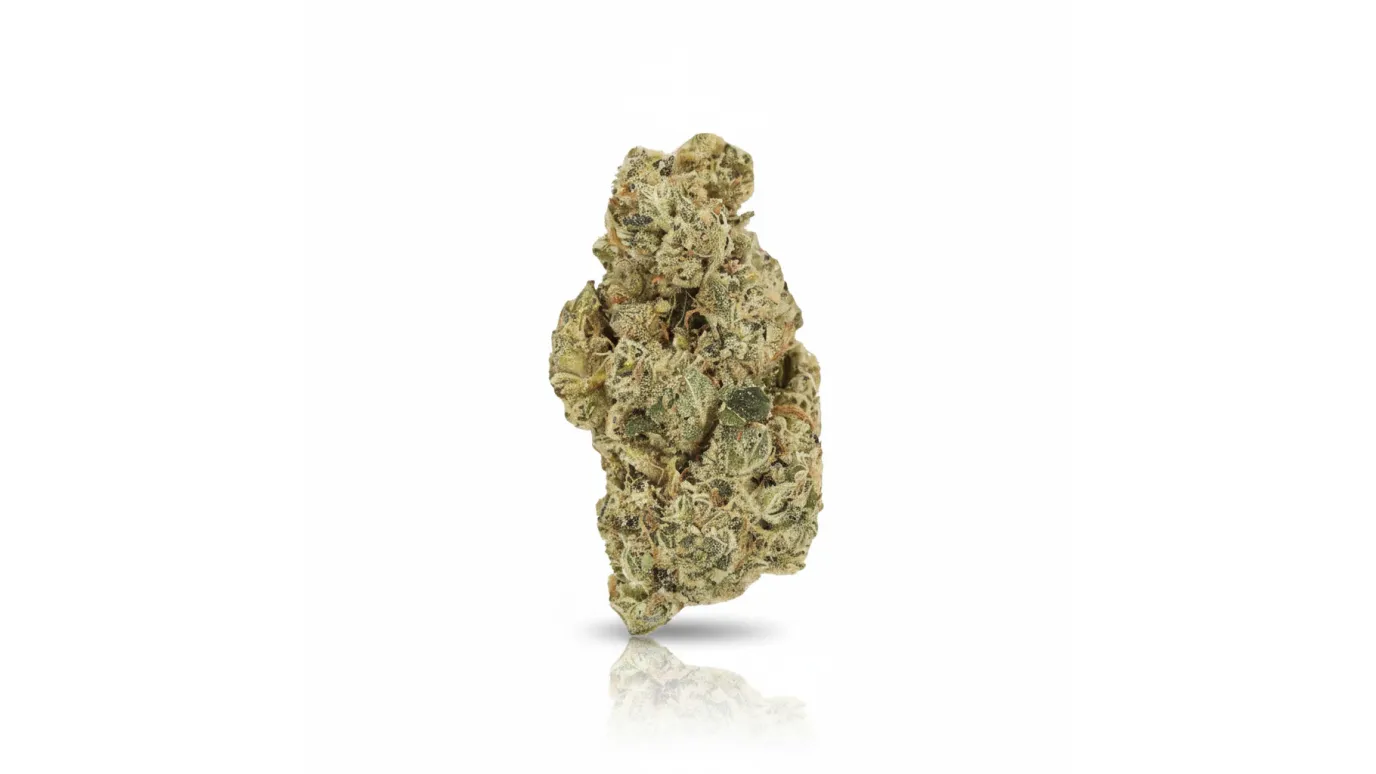 Haze Marker OG, Cannabisblüte von LUANA