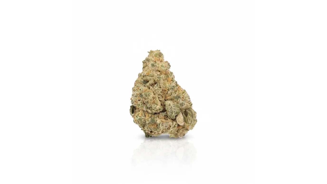 Larrys GMO, Cannabisblüte von LUANA