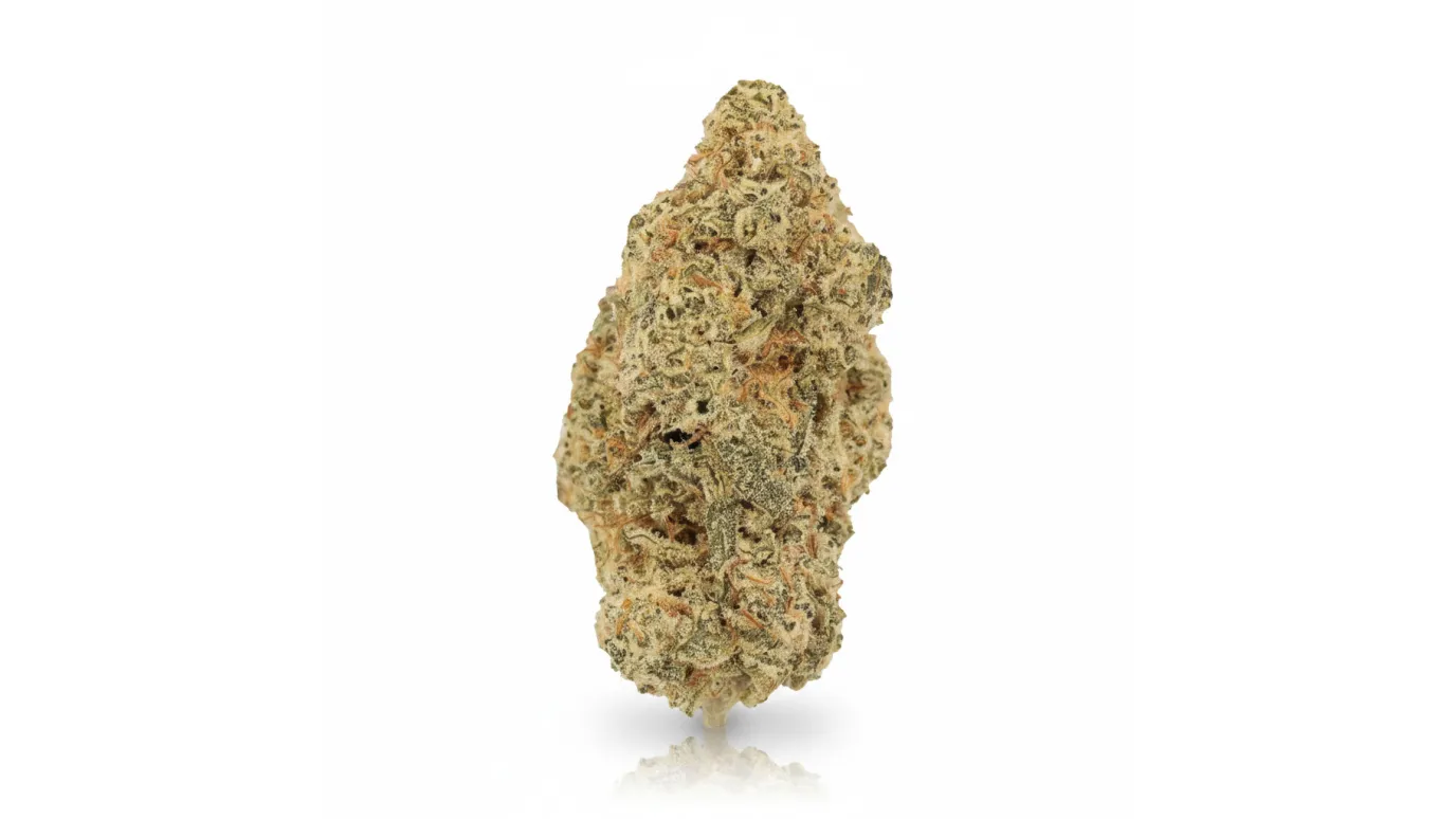 MAC 2, Cannabisblüte von LUANA