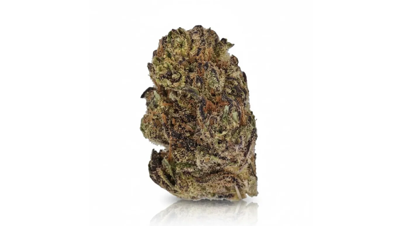 MAC, Cannabisblüte von LUANA