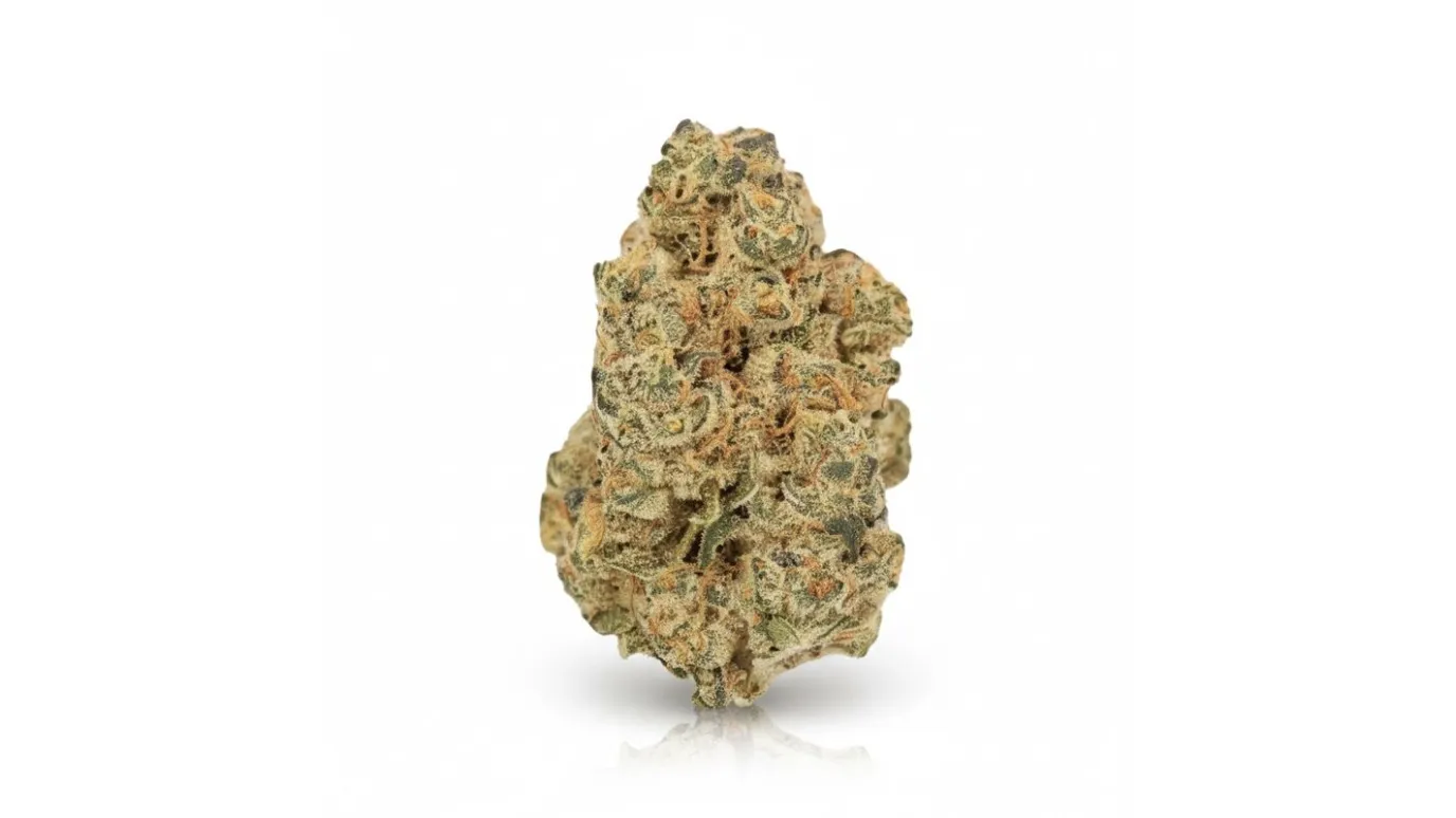 Moon Frost, Cannabisblüte von LUANA