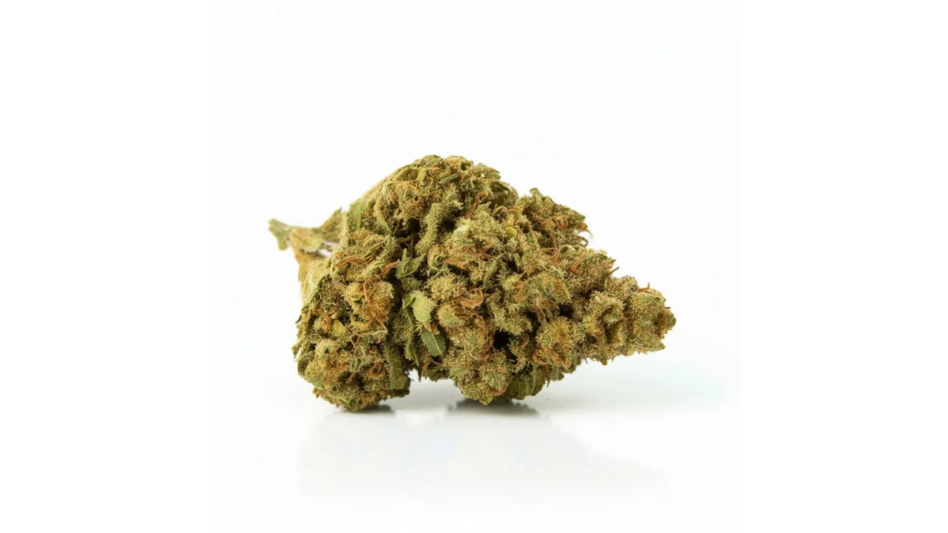Papaya Bomb, Cannabisblüte von LUANA