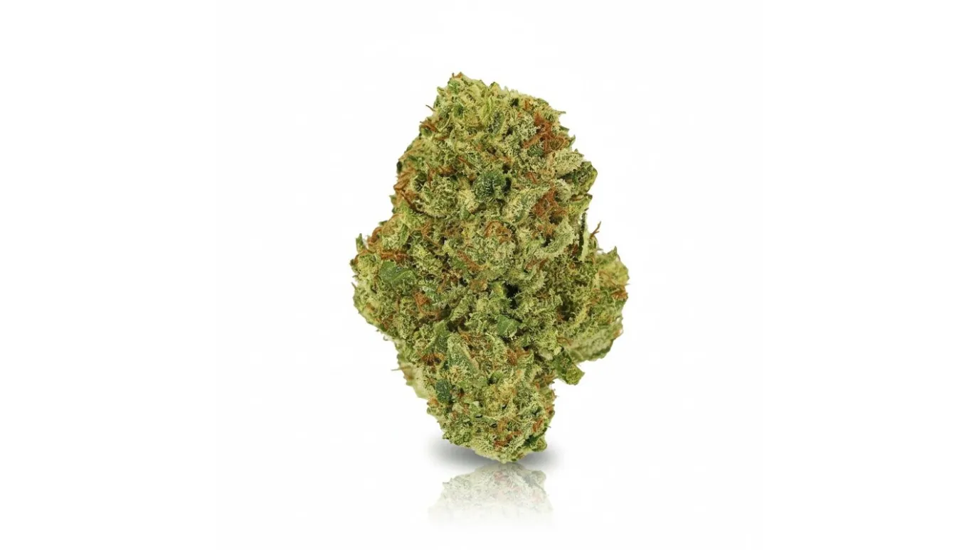 Watermelon OG, Cannabisblüte von LUANA