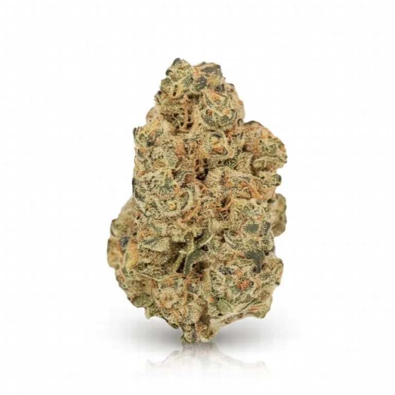 LUANA Moon Frost, Cannabisblüte